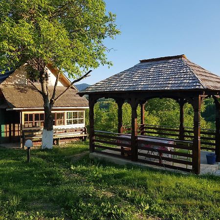 Ninga Rai Villa Poienile Izei Bagian luar foto