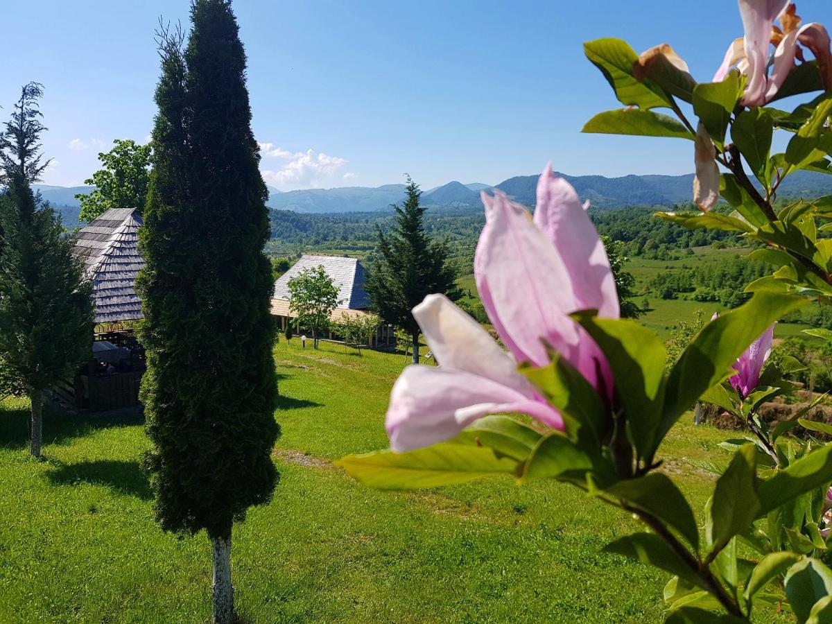 Ninga Rai Villa Poienile Izei Bagian luar foto