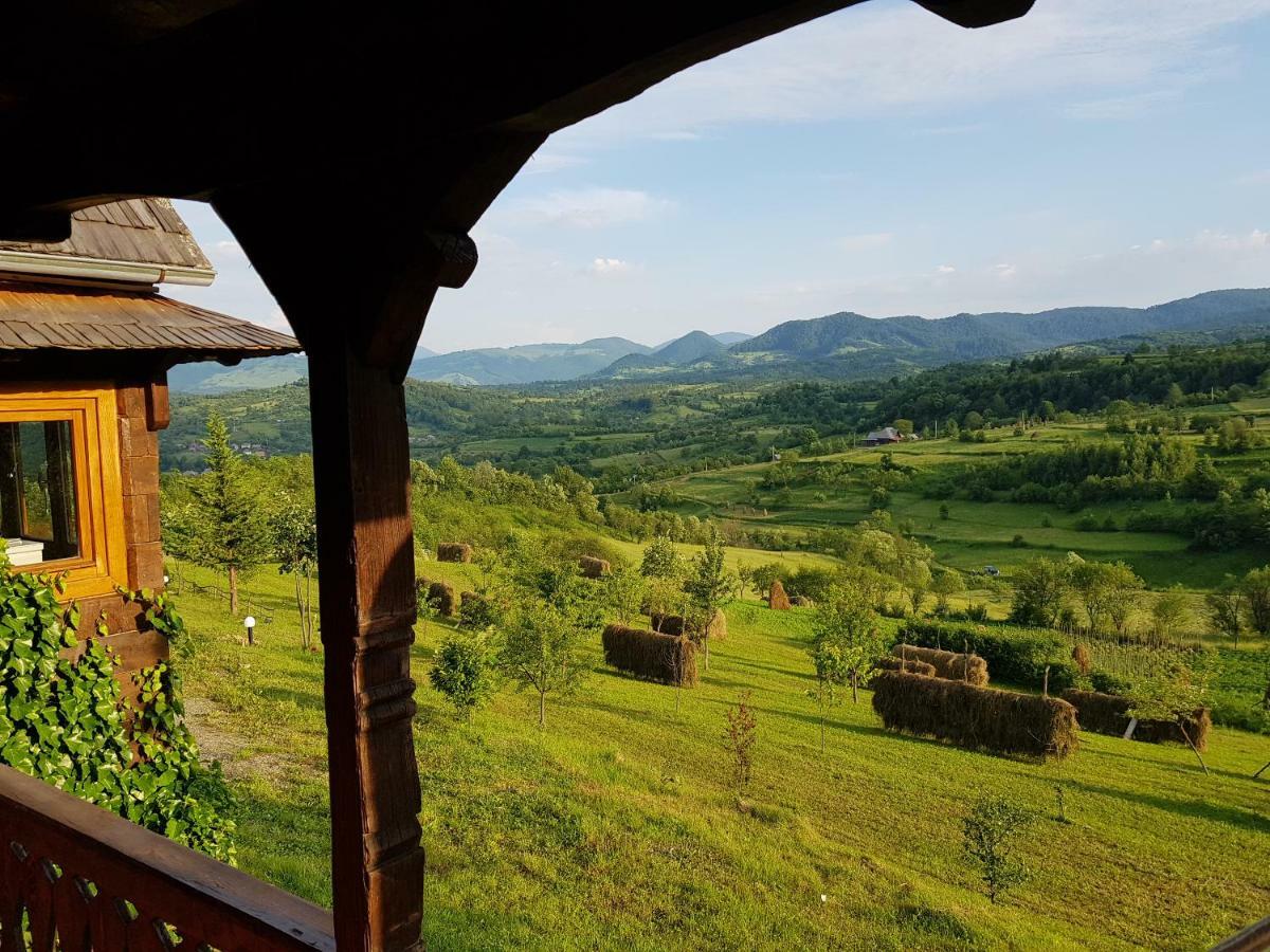 Ninga Rai Villa Poienile Izei Bagian luar foto
