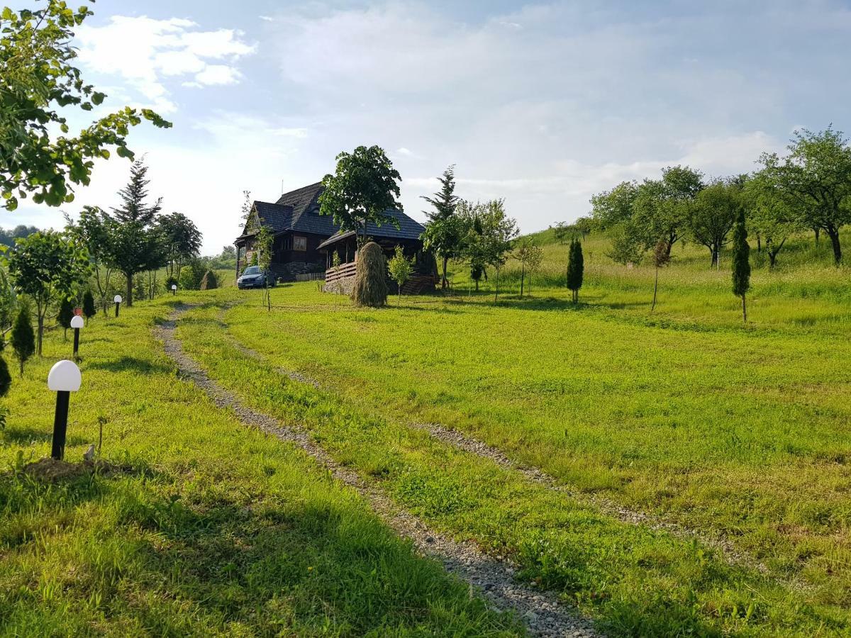 Ninga Rai Villa Poienile Izei Bagian luar foto